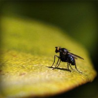 /album/rasttimodee/photolia-a07-jpg/